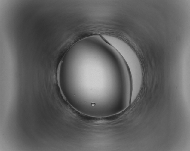 X0000113030313200909031257