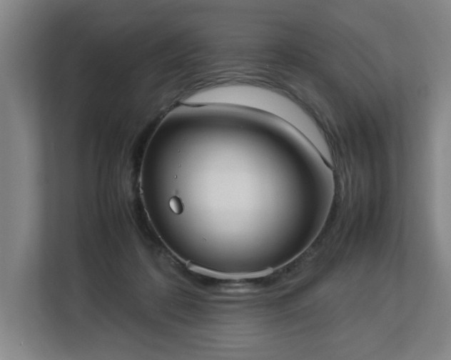 X0000113030316200909031257