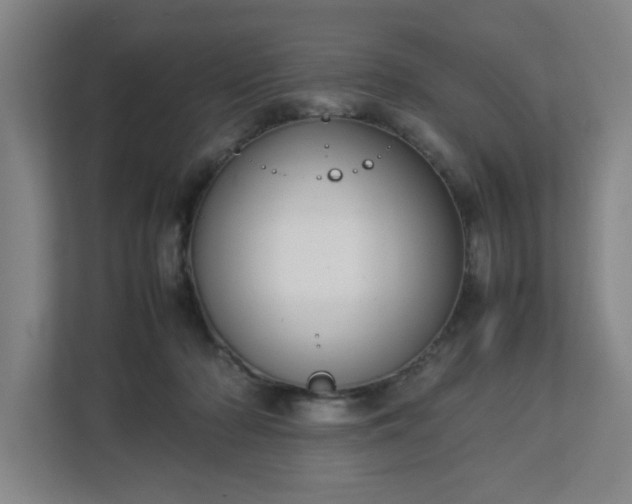 X0000113030318200909031257