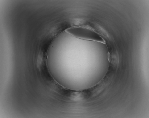 X0000113030324200909031257