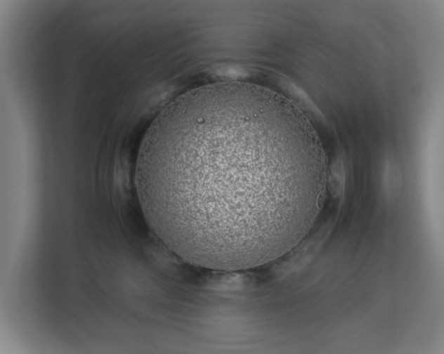 X0000113030330200909031256