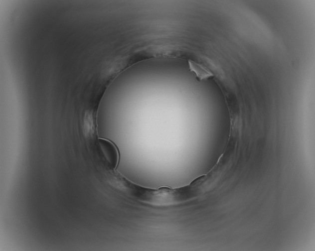 X0000113030335200909031256