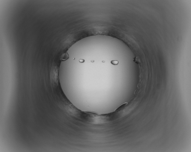 X0000113030336200909031256