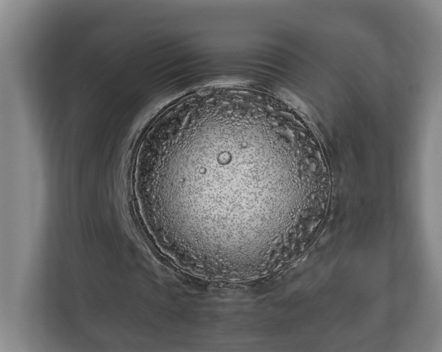 X0000113030337200909031256