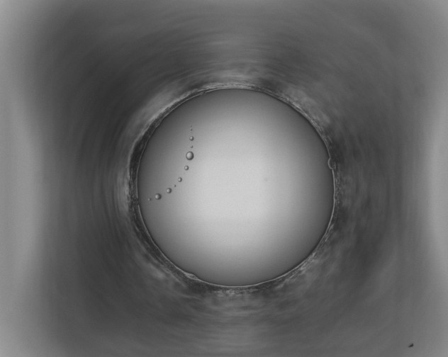 X0000113030338200909031256