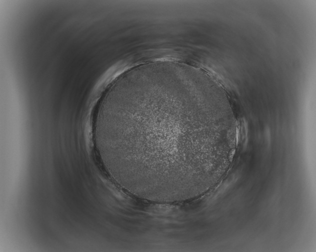 X0000113030339200909031256