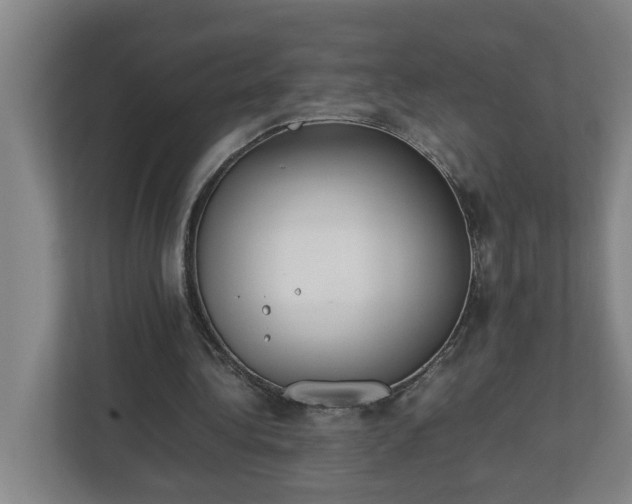 X0000113030340200909031256