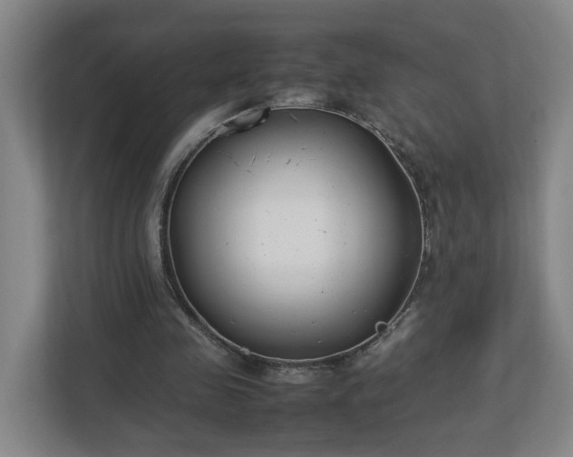 X0000113030341200909031256