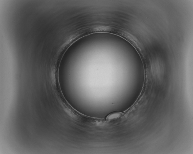 X0000113030345200909031256