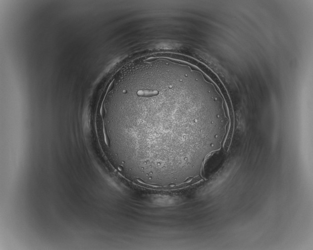 X0000113030347200909031256