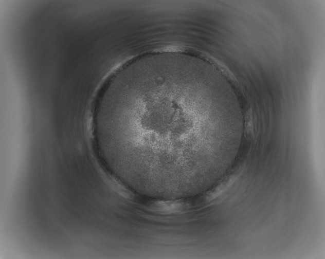 X0000113030351200909031256