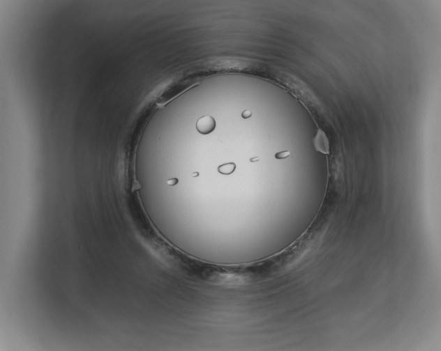 X0000113030352200909031256