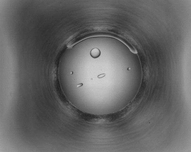 X0000113030356200909031256