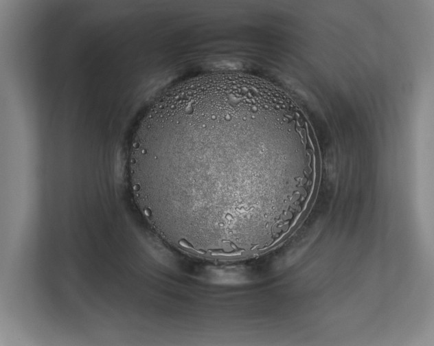 X0000113030359200909031256