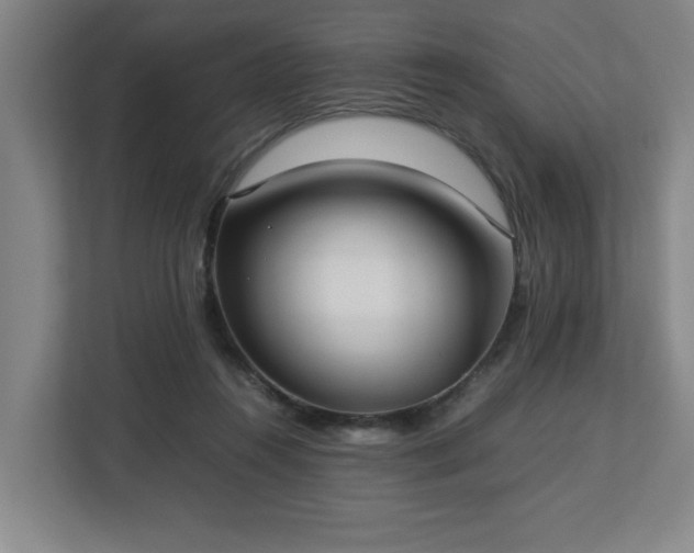 X0000113030360200909031256