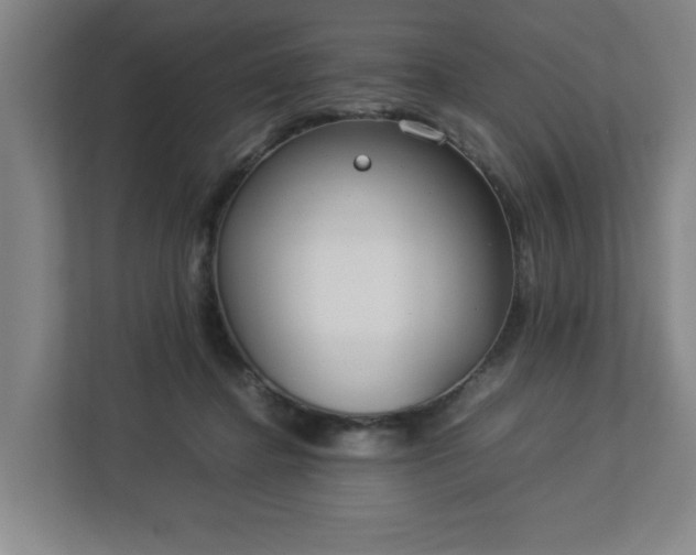 X0000113030364200909031256