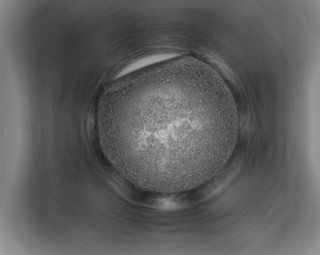 X0000113030365200909031256