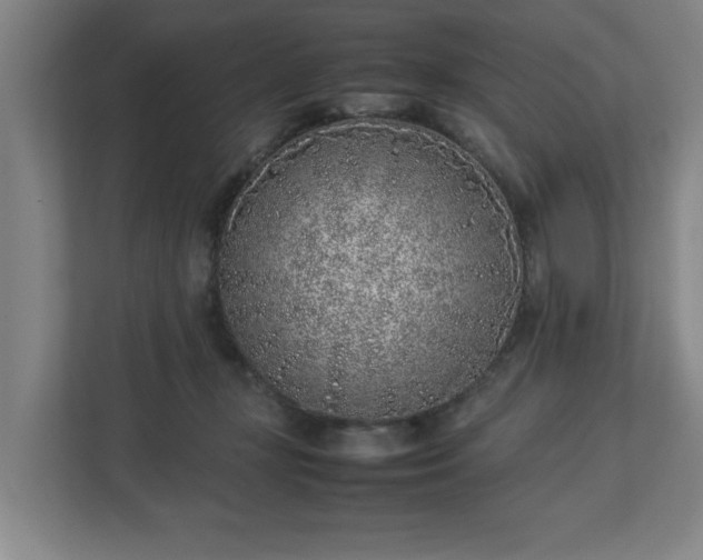 X0000113030367200909031256