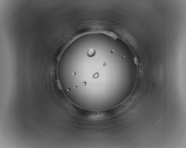 X0000113030369200909031256