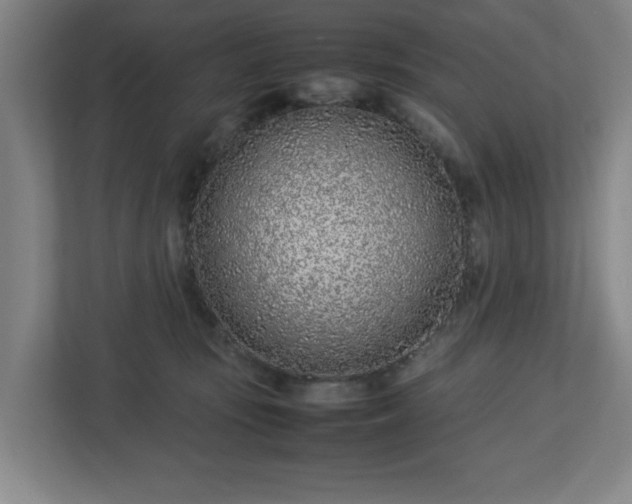 X0000113030371200909031256