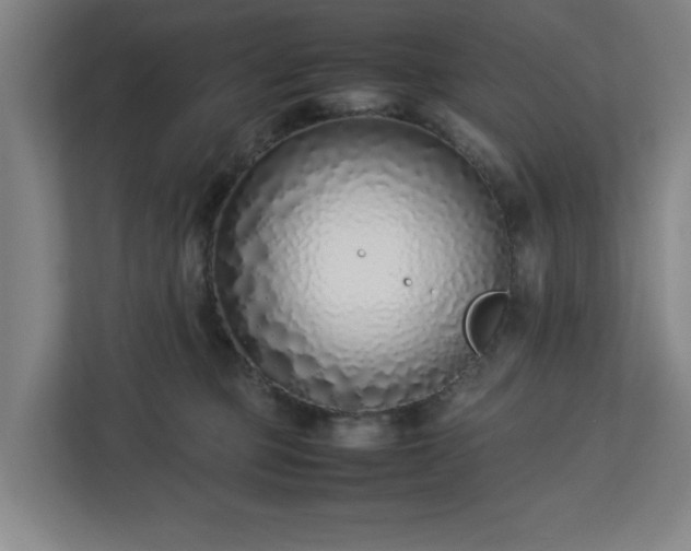 X0000113030373200909031256