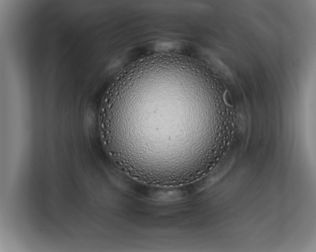 X0000113030375200909031256