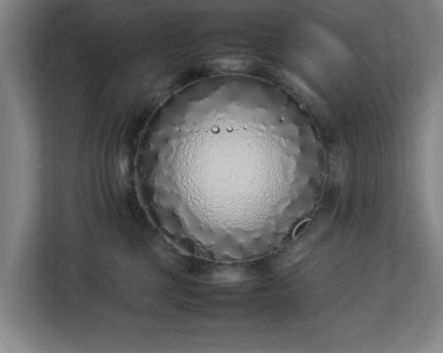 X0000113030377200909031256