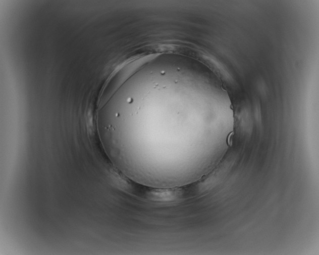 X0000113030381200909031256