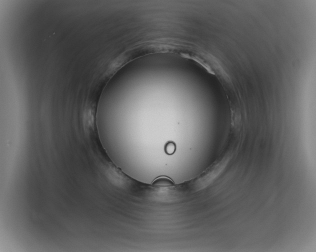 X0000113030382200909031256