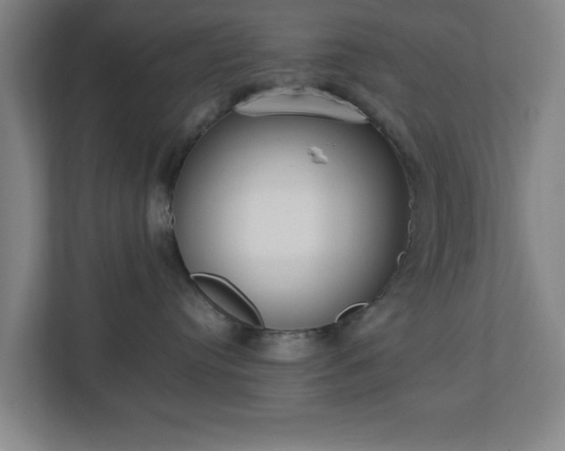 X0000113030384200909031256