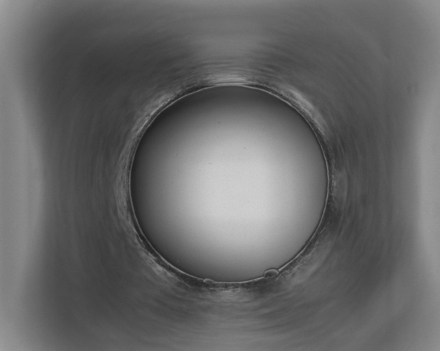 X0000113030385200909031256