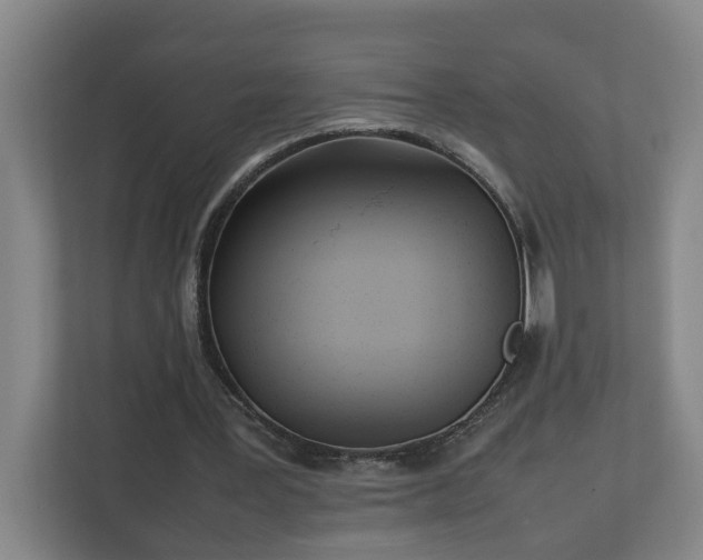 X0000113030387200909031256