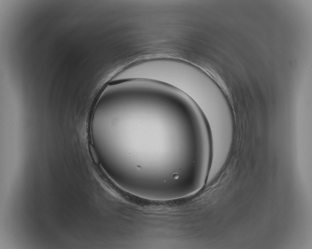 X0000113030389200909031256