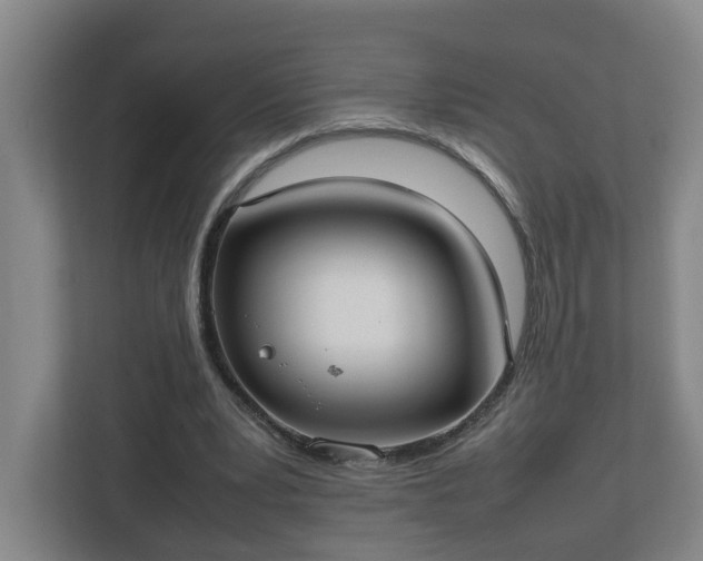 X0000113030391200909031256