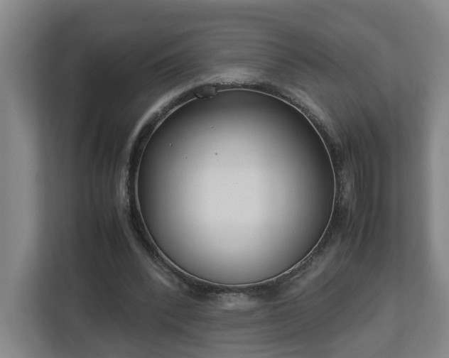 X0000113030392200909031256