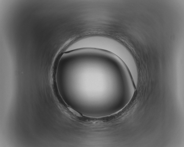 X0000113030395200909031256