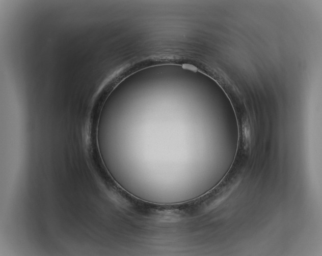 X0000113030396200909031256