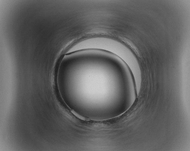 X0000113030399200909031256