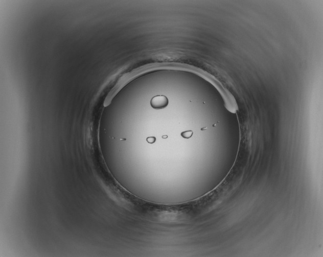 X0000113030400200909031256