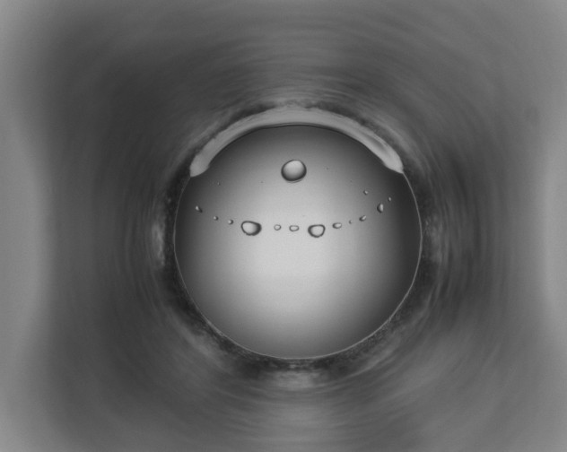 X0000113030404200909031256