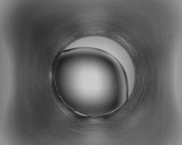 X0000113030405200909031256