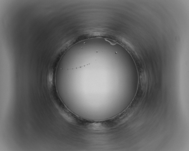 X0000113030406200909031256