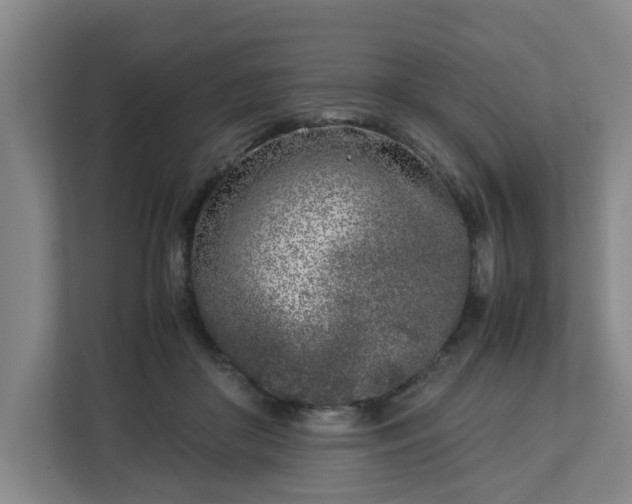 X0000113030410200909031255