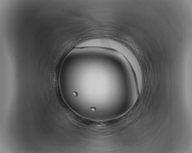 X0000113030411200909031255