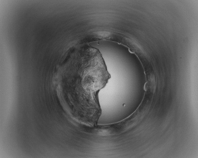 X0000113030412200909031255