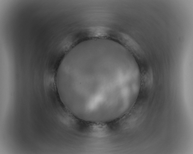 X0000113030415200909031255