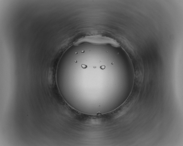 X0000113030416200909031255