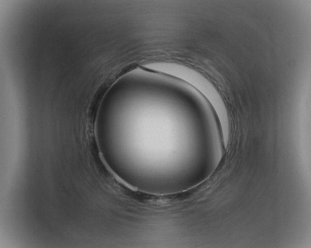 X0000113030419200909031255