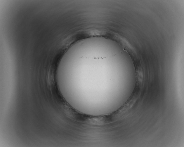 X0000113030422200909031255