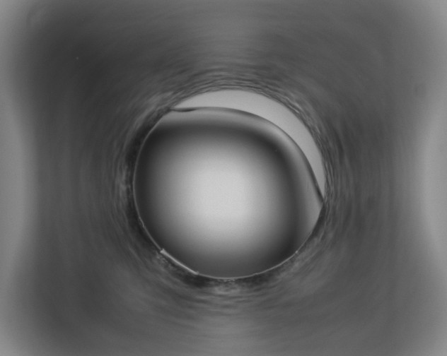 X0000113030423200909031255